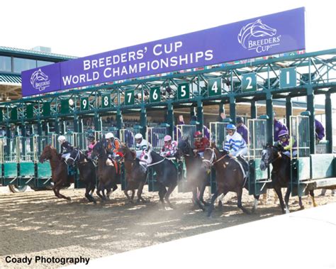 Breeders’ Cup .